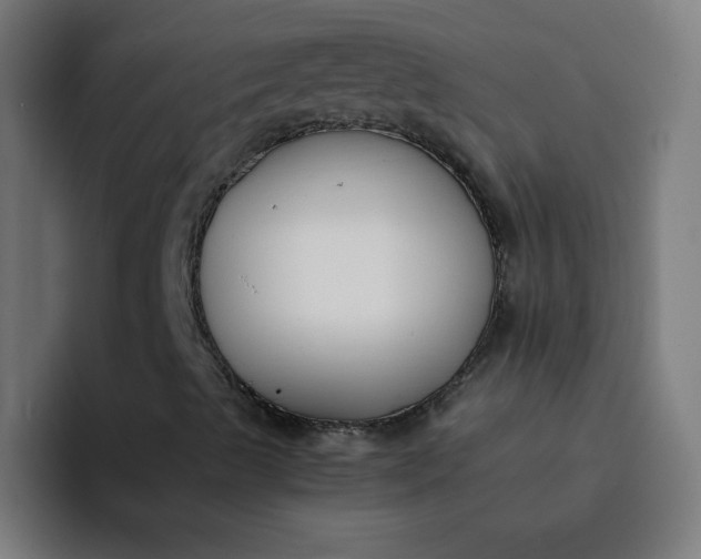 X0000094361489200711162040