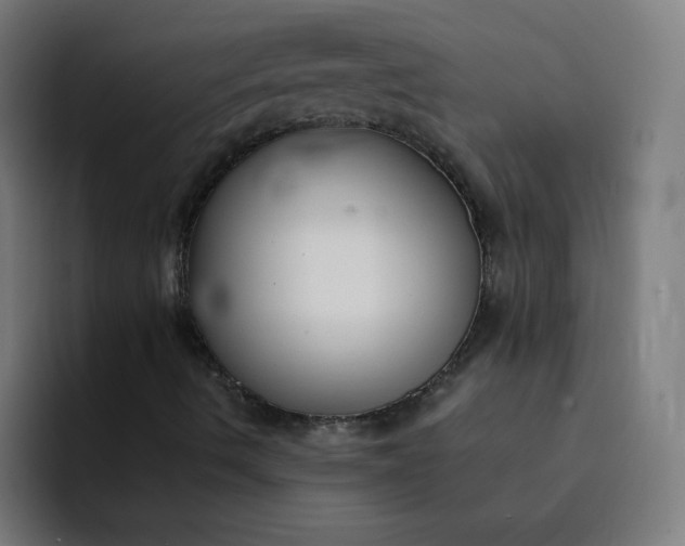 X0000094361490200711162040