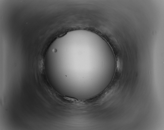 X0000094361492200711162040