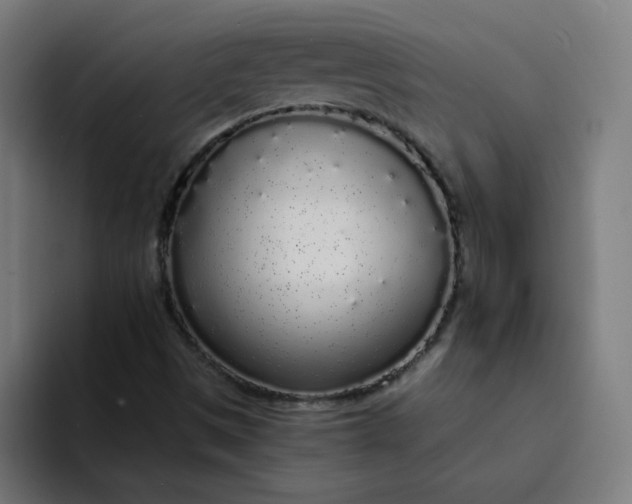 X0000094361497200711162040