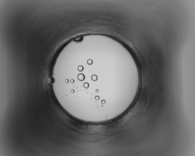 X0000094361498200711162040