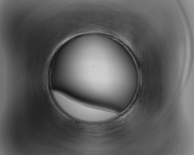 X0000094361500200711162040