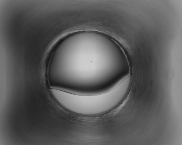 X0000094361502200711162040
