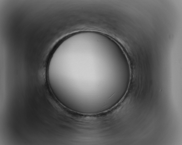 X0000094361503200711162040