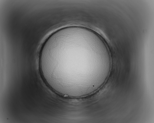 X0000094361504200711162040