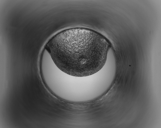 X0000094361508200711162040