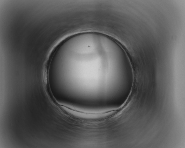 X0000094361510200711162040