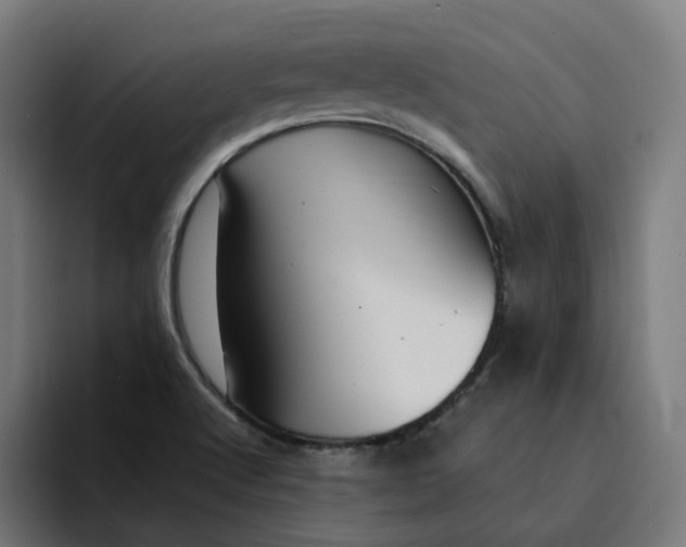 X0000094361512200711162040