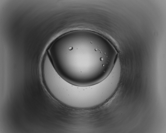 X0000094361514200711162040