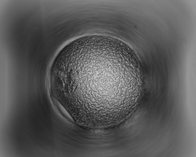 X0000094361515200711162040