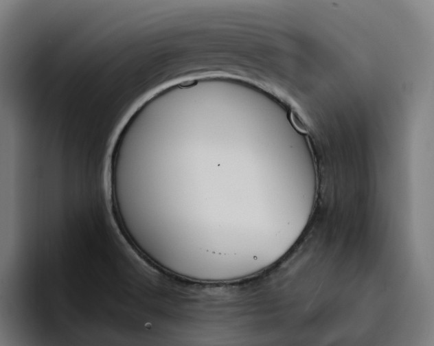 X0000094361516200711162040