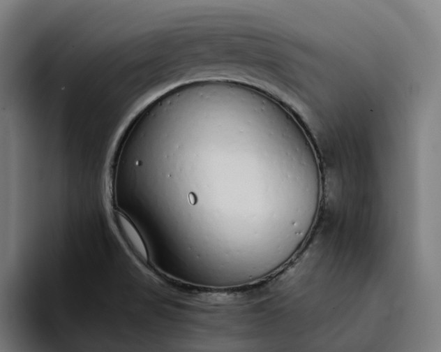 X0000094361517200711162040