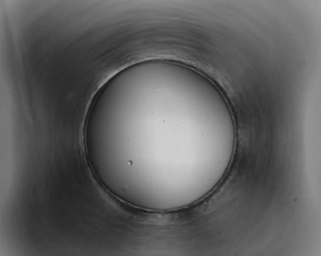 X0000094361521200711162040