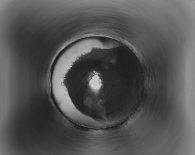 X0000094361522200711162040