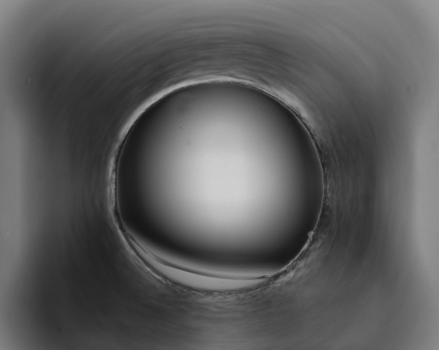 X0000094361524200711162040