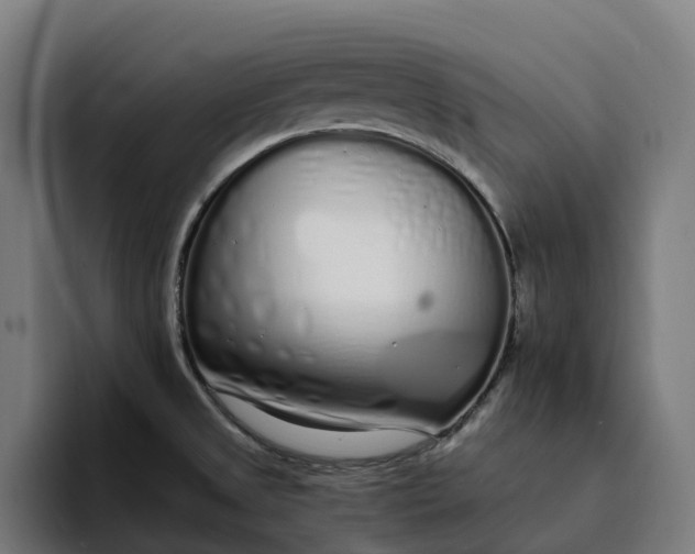 X0000094361525200711162040