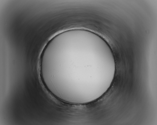 X0000094361526200711162040