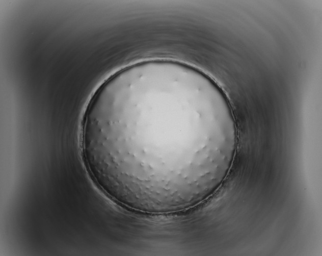 X0000094361527200711162040