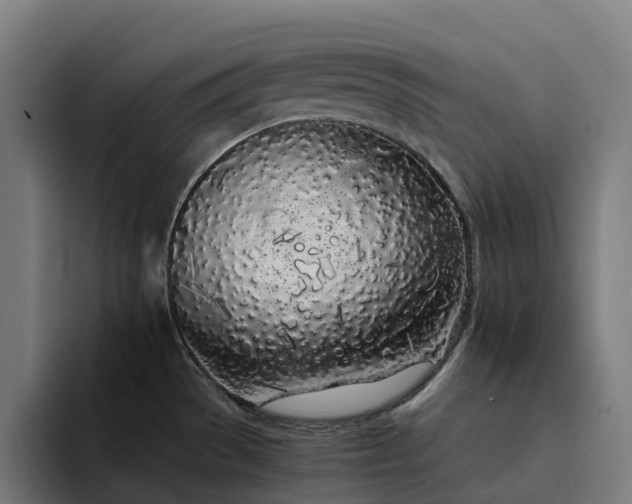 X0000094361529200711162040