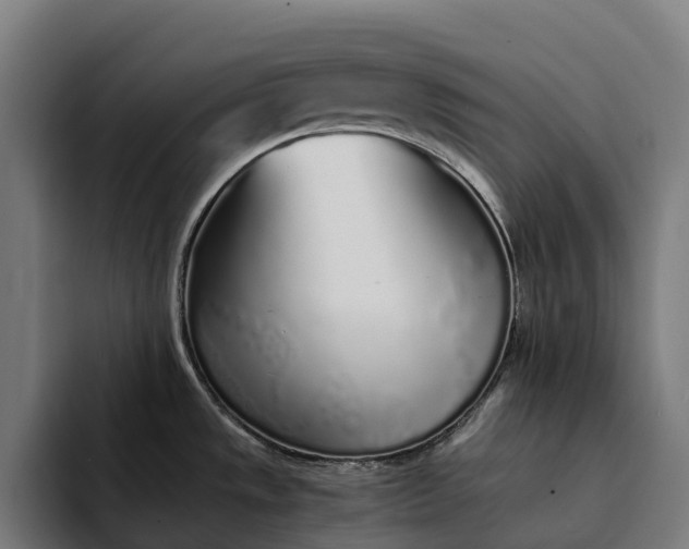 X0000094361533200711162040