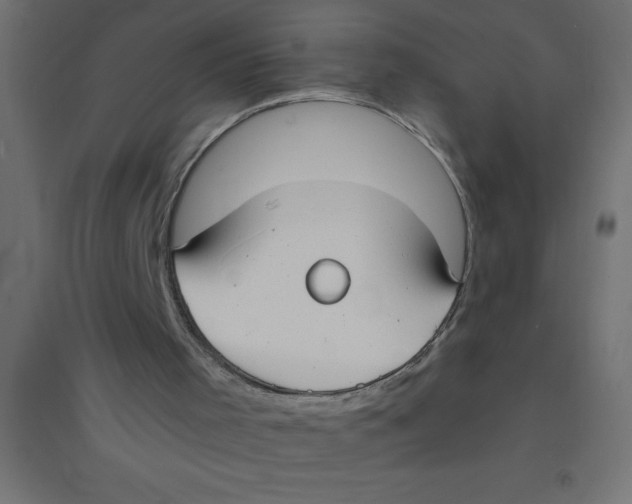 X0000094360001200711241948