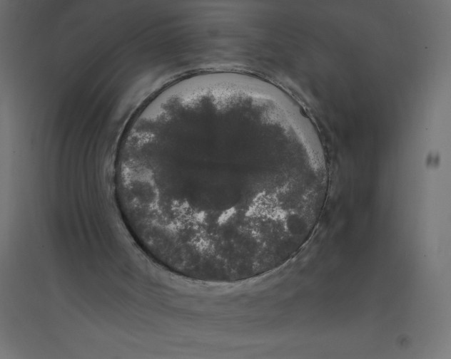 X0000094360002200711241948