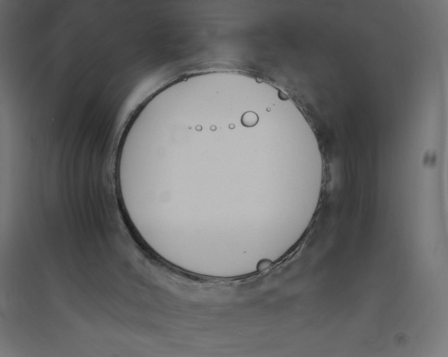 X0000094360004200711241948