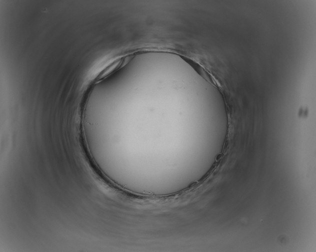 X0000094360005200711241948