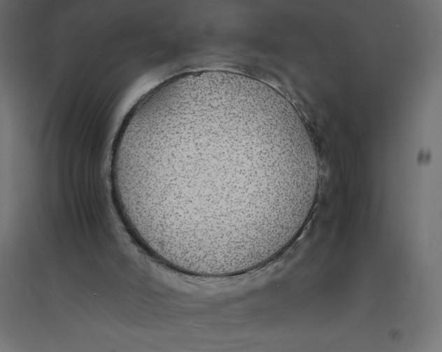 X0000094360006200711241948