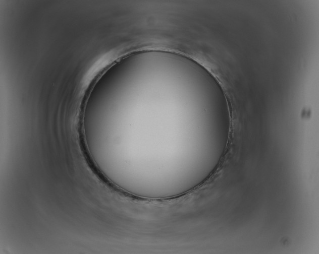 X0000094360007200711241948