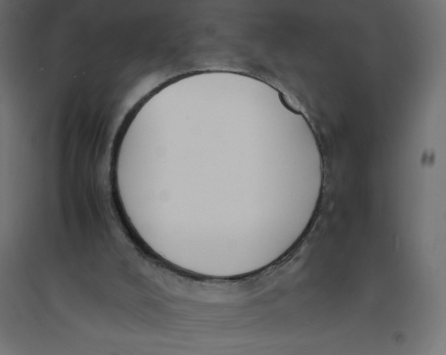 X0000094360008200711241948