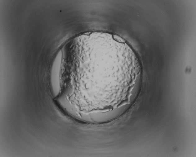 X0000094360009200711241948