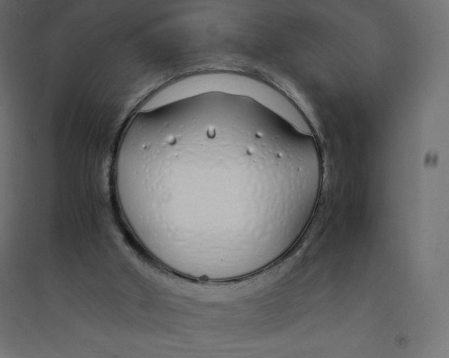 X0000094360010200711241947