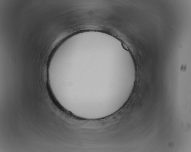 X0000094360011200711241947