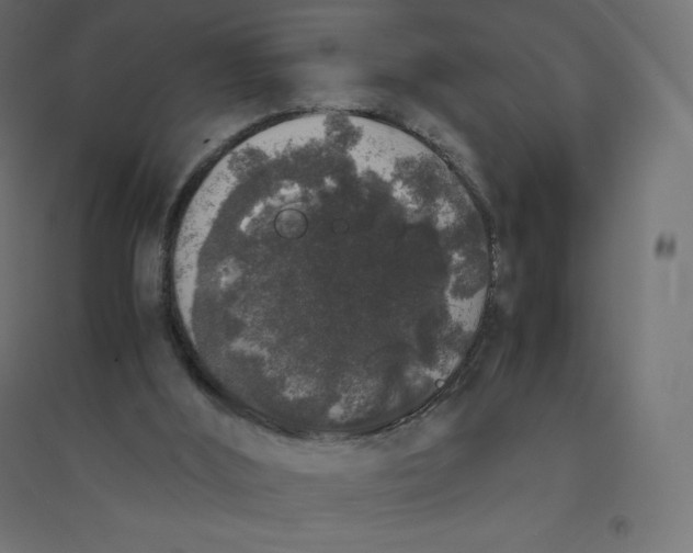 X0000094360012200711241947