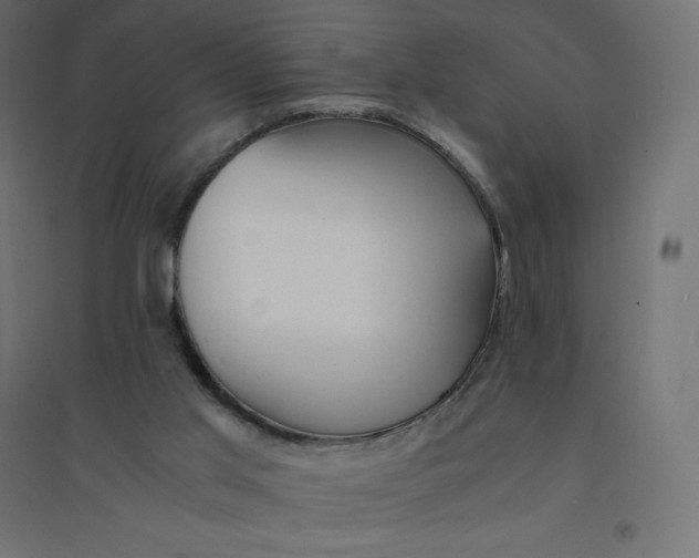 X0000094360013200711241947
