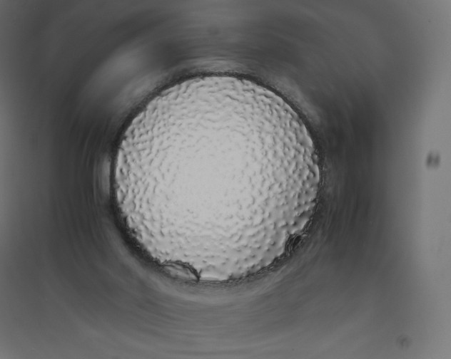X0000094360014200711241947