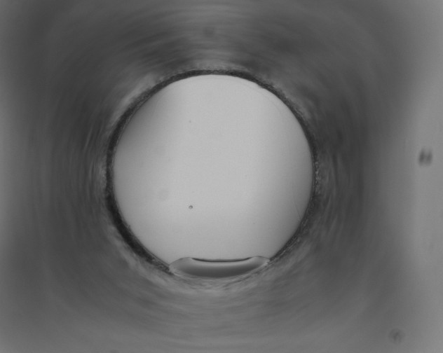 X0000094360015200711241947
