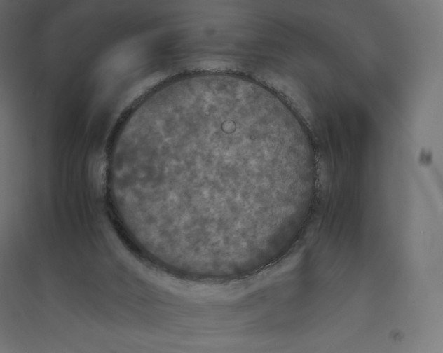 X0000094360016200711241947