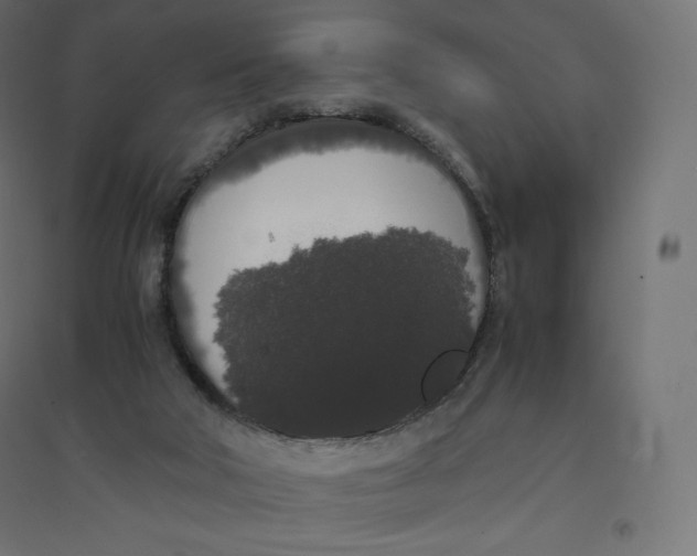X0000094360018200711241947