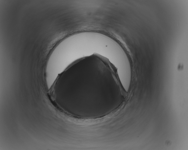X0000094360019200711241947