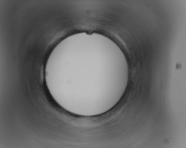 X0000094360020200711241947
