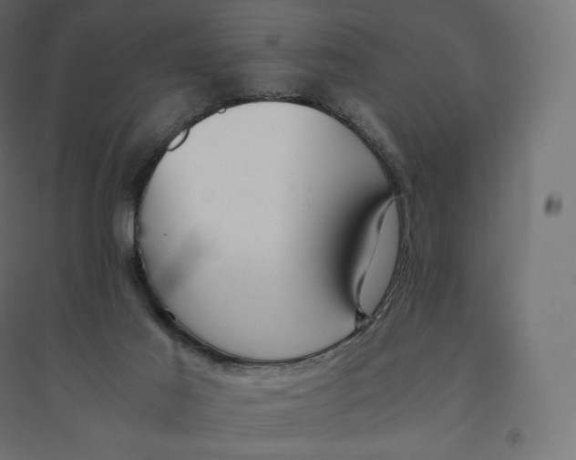 X0000094360021200711241947