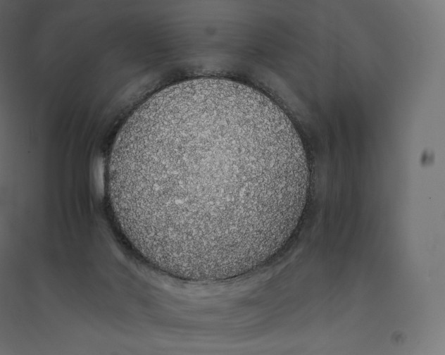 X0000094360022200711241947
