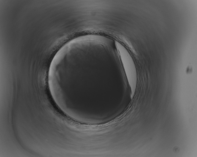 X0000094360023200711241947