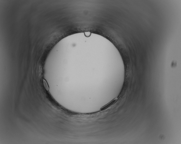 X0000094360025200711241947