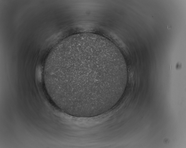 X0000094360026200711241947