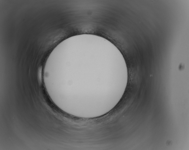 X0000094360028200711241947