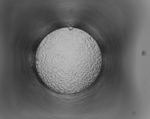 X0000094360030200711241947
