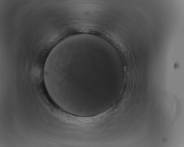 X0000094360031200711241947